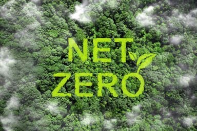 Net zero