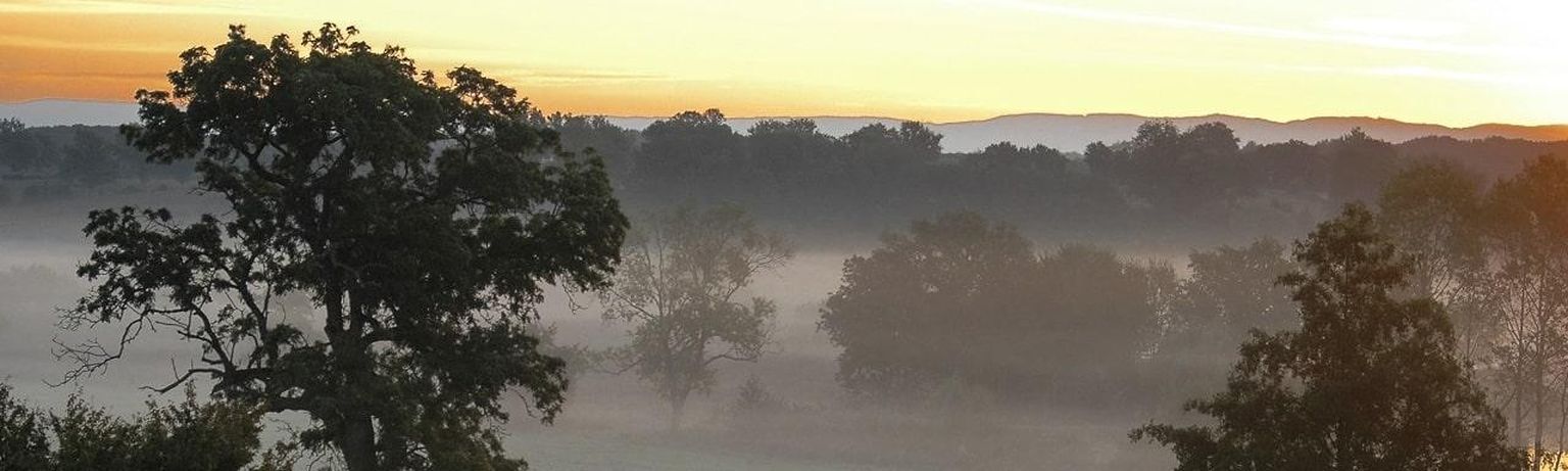 paysage Dombes-min