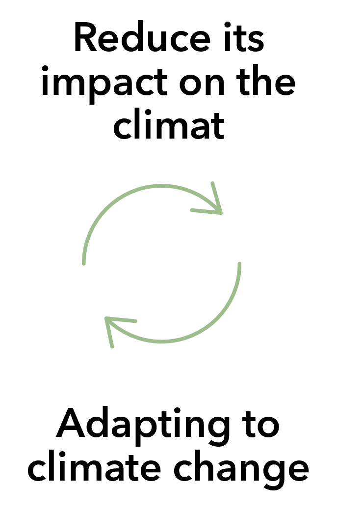 Double arrow adapt reduce