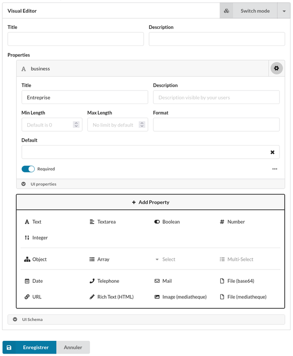 Impression écran du module Schema Builder