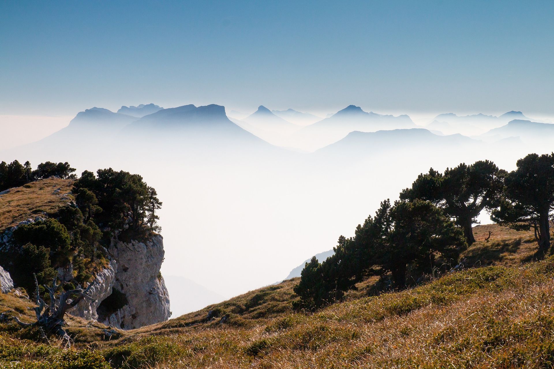 iStock-aurelienantoine (2).jpg