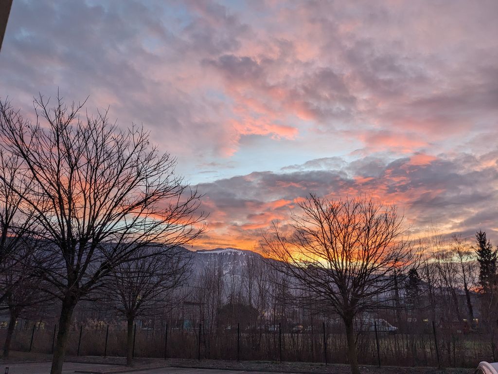 PXL_20240122_070119451