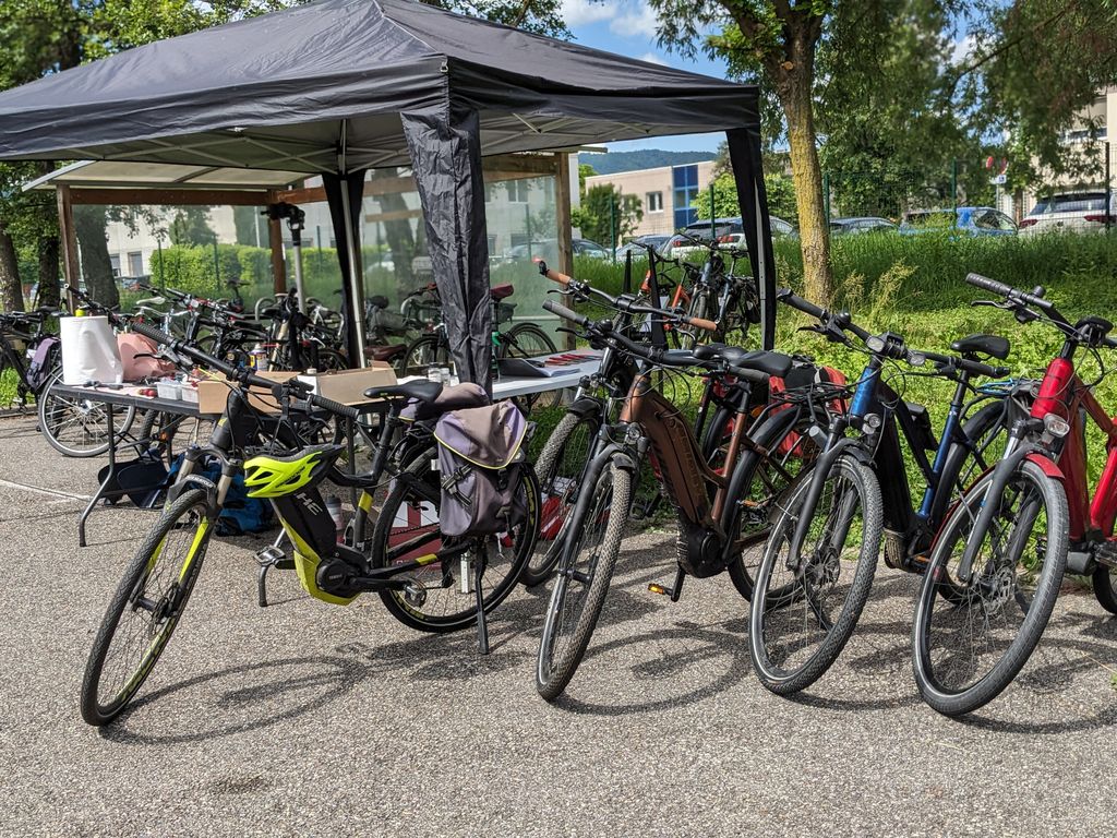 PXL_20250513_133917447.PORTRAIT