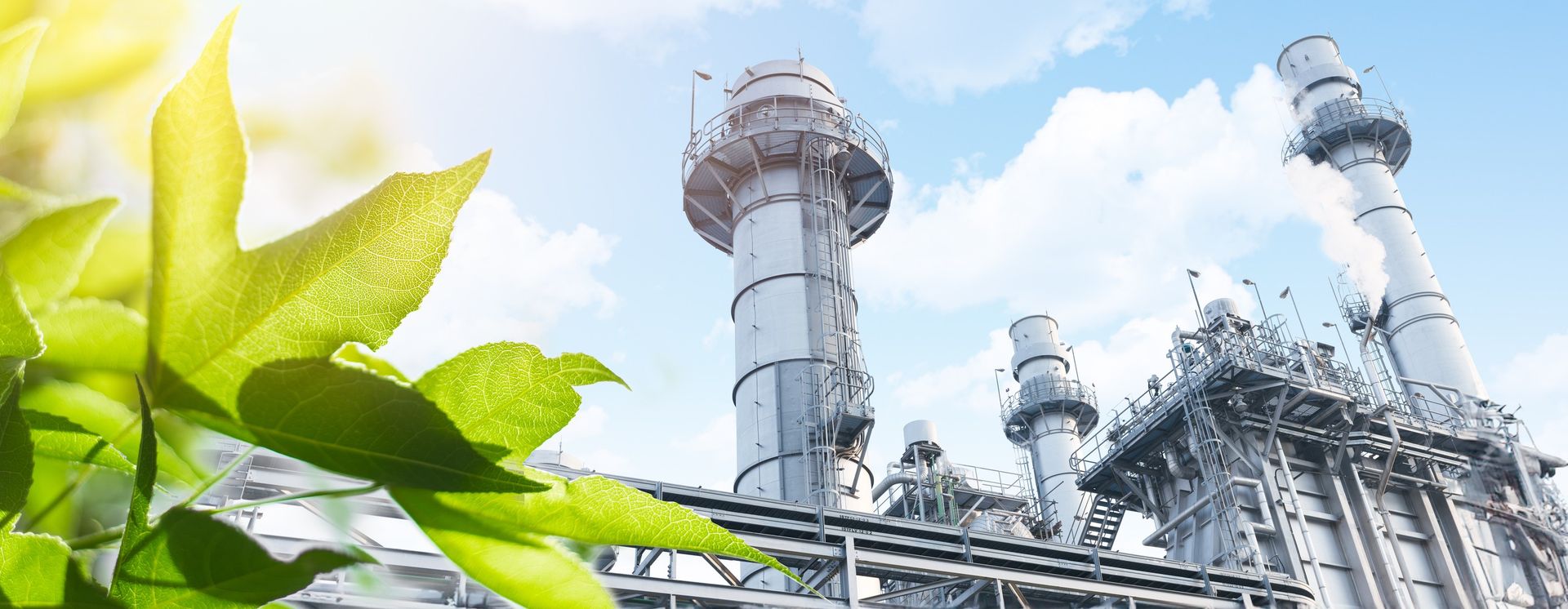 usine feuille PACTE Industrie